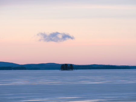 Group of trees in frozen lake during sunset under smooth sky with single cloud.の写真素材