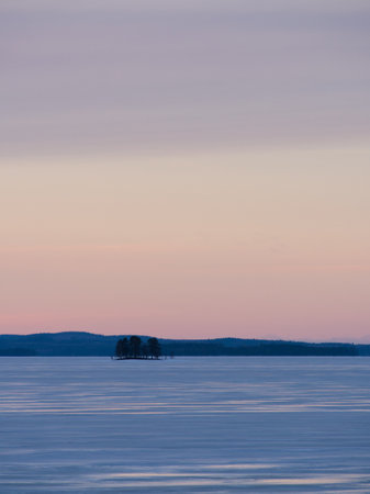 Group of trees in frozen lake during sunset under smooth sky with single cloud.の写真素材