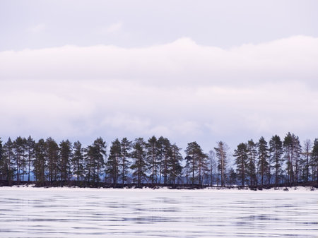 Frozen lake landscape view with trees in a row reflection under moody sky at sunsetの写真素材