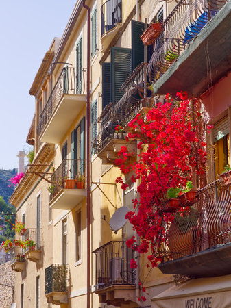 Building facades and balconies in Taormina streets full of bougainvillea flowers in a sunny summer day, Sicily, Italyの写真素材