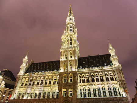 Brussels Grand Place City Museum majestic view in Christmas at nightの写真素材