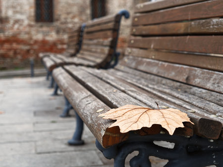 A single fallen maple leaf on a wooden bench, symbolizing autumn in an urban setting.の写真素材