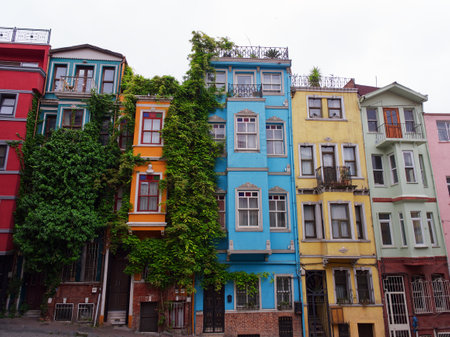 Vibrant multi-colored townhouses with unique architectural features and lush green ivy growing on facadesの写真素材