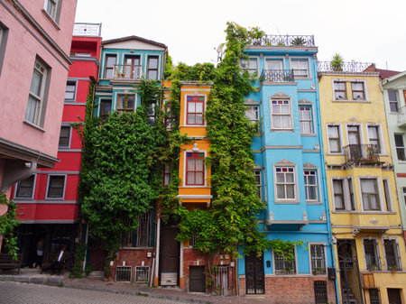 Vibrant multi-colored townhouses with unique architectural features and lush green ivy growing on facadesの写真素材