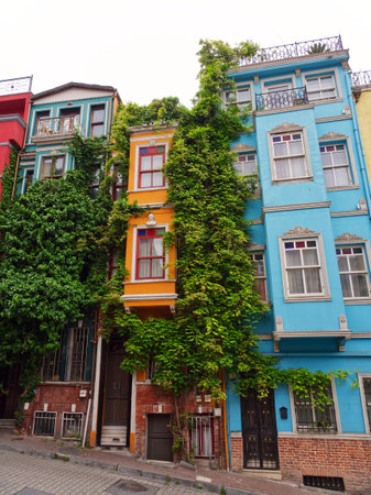 Vibrant multi-colored townhouses with unique architectural features and lush green ivy growing on facadesの写真素材
