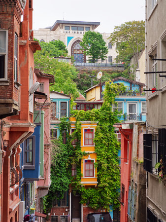 Narrow street with vibrant buildings and climbing plants, showcasing eclectic architecture in Istanbulの写真素材