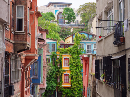Narrow street with vibrant buildings and climbing plants, showcasing eclectic architecture in Istanbulの写真素材
