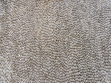 Closeup of tightly packed white or light gray pebbles forming a textured surface patternの写真素材