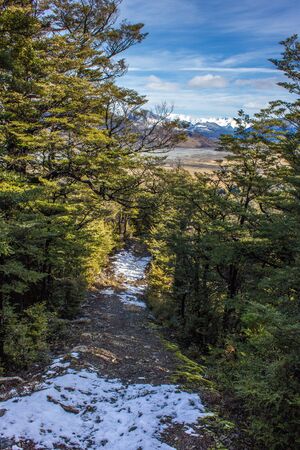 Snow covered mountain track through native bush in mid Canterbury, New Zealandの写真素材