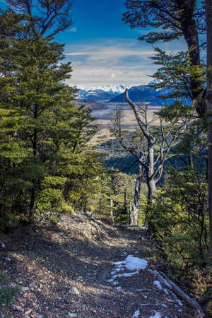 Snow covered mountain track through native bush in mid Canterbury, New Zealandの写真素材