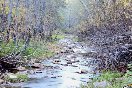 A delicate Tonto Creek in late Autumn, just under the Mogollon Rim in Northern Arizona.の写真素材