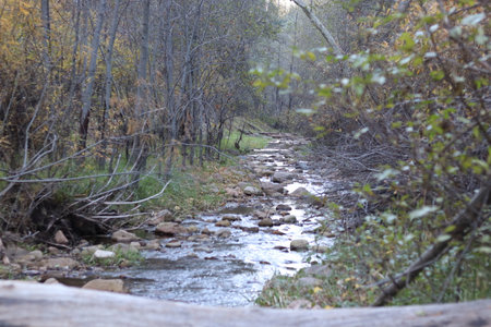 Tonto Creek, under the Mogollon Rim in North-Central Arizona, on a crisp autumn afternoon.の写真素材
