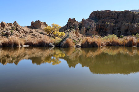 Reflection of autumn trees in the water of a lake, Arizonaの写真素材