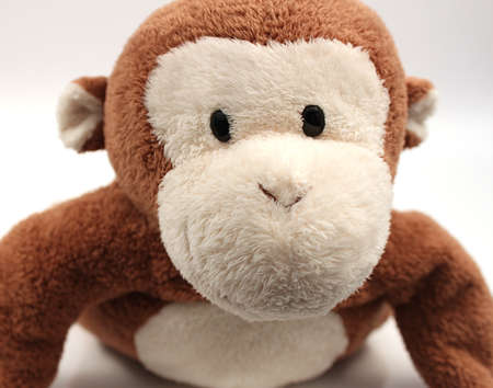 Monkey Faceの写真素材