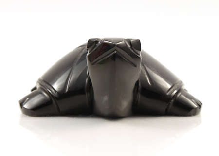 Black turtle on white backgroundの写真素材