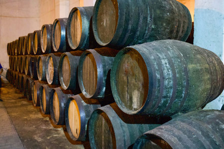 Old wine barrels in a traditional wine cellar in Spain