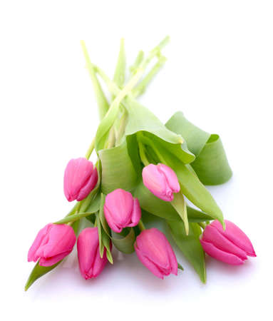 Tulipsの写真素材