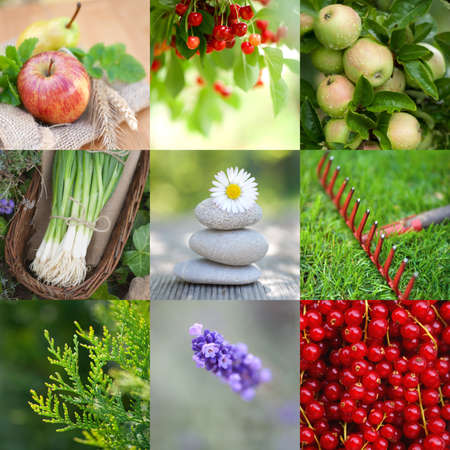 Garden timeの写真素材