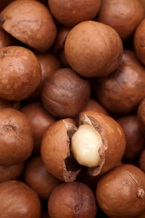 Macadamia nutsの写真素材
