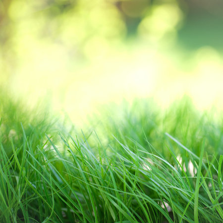 Organic backgroundの写真素材