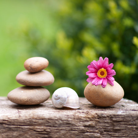 Wellness decoration in gardenの写真素材