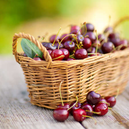 Fresh cherriesの写真素材