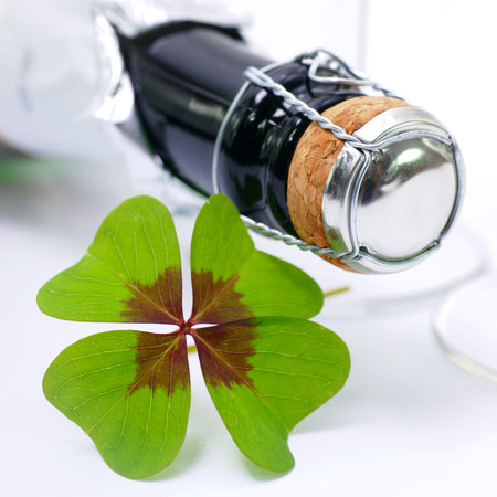 Lucky cloverの写真素材