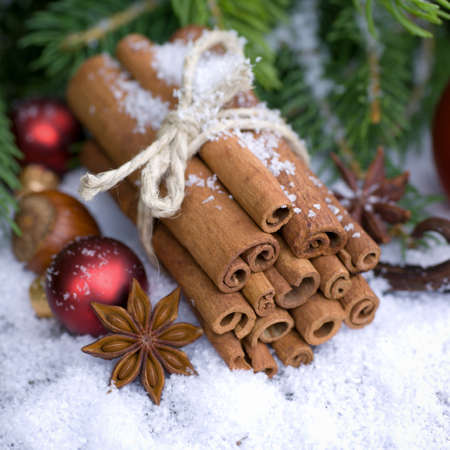 Christmas spicesの写真素材