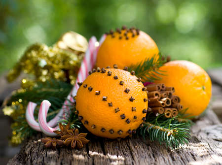 Oranges with colvesの写真素材