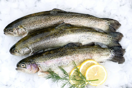 Fresh trout on ice