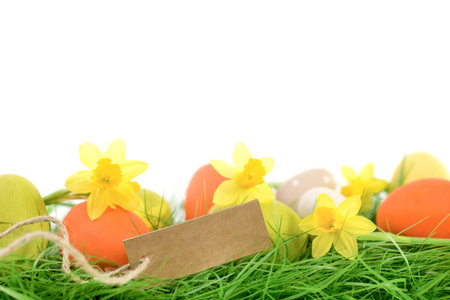 Easter backgroundの写真素材