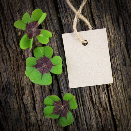 Symbol, lucky clover