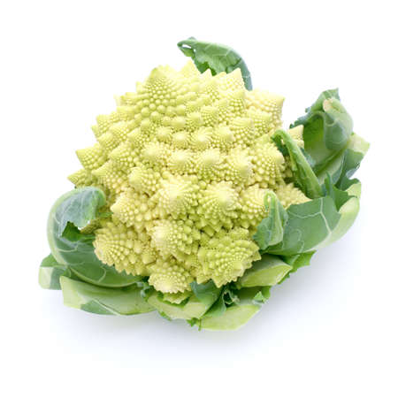 Raw romanesco の写真素材