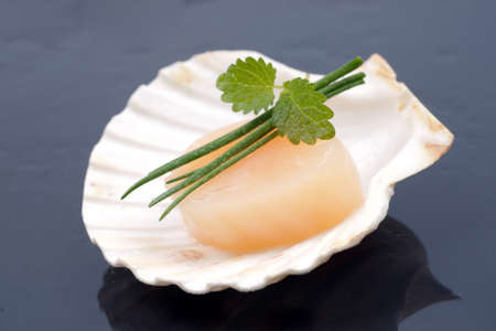 Fresh scallop on a slate の写真素材