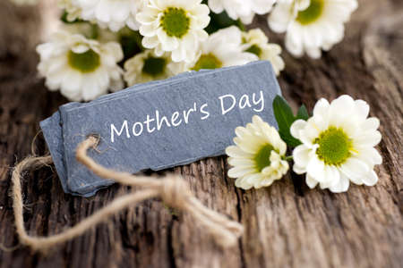 Mother`s Dayの写真素材
