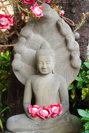Buddha statue and flower offerings in Phnom Penh, Cambodiaの写真素材