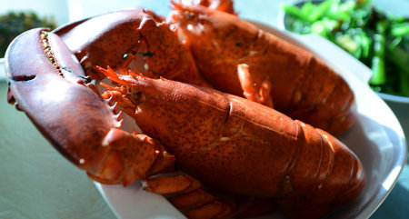 Cooked Nova Scotia Hard Shell Lobstersの写真素材