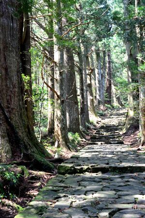 Kumano Kodo, the sacred historical pilgrimage route in Kansai, Japanの写真素材