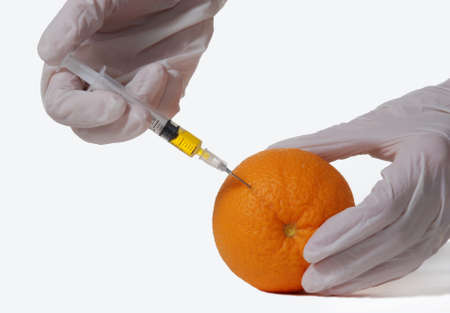 Hands injecting fluid into an orange.  Isolated on white.の写真素材