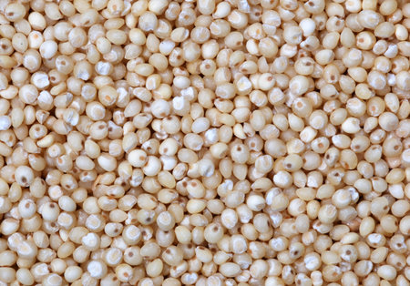 Close up of millet grainの写真素材