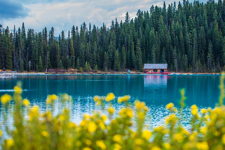 Canada Lake Louiseの写真素材