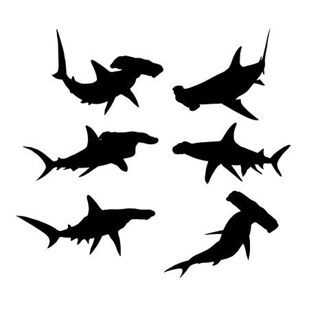 Set of silhouettes of hammerhead sharks, isolated white background , simple vector designのイラスト素材