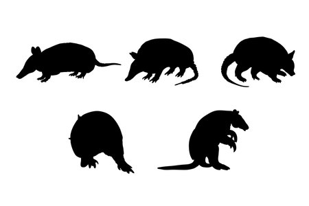 Set of silhouettes of armadillos vector design, isolated white background , simple vector designのイラスト素材