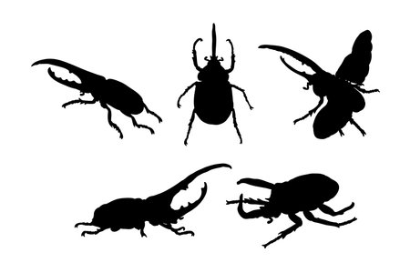 Set of silhouettes of hercules beetle vector design, isolated white background , simple vector designのイラスト素材