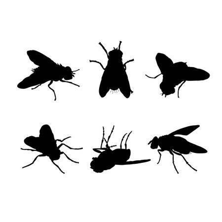 Set of silhouettes of insects fly vector design, isolated white background , simple vector designのイラスト素材