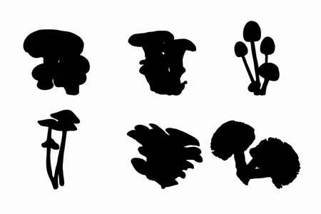 Set of silhouettes of mushrooms vector design, isolated white background , simple vector designのイラスト素材