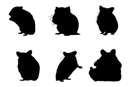 Set of silhouettes of hamsters vector design, isolated white background , simple vector designのイラスト素材