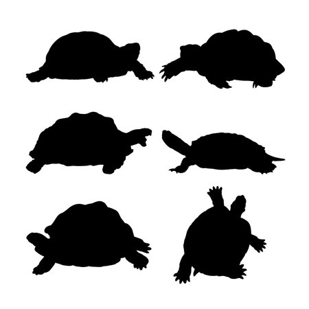 Set of silhouettes of turtles vector design, isolated white background , simple vector designのイラスト素材
