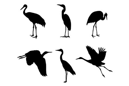 Set of silhouettes of cranes vector designs, isolated white background , simple vector designのイラスト素材