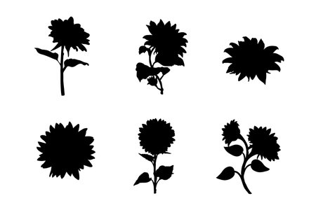 Set of silhouettes of sunflowers vector design, isolated white background , simple vector designのイラスト素材